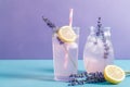 Cool lavender lemonade with lime slices and lavender flower