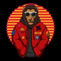 Cool lion wear a jacket vector illustration