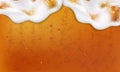 Cool liquid drink.Vector illustration of realistic light or dark beer Royalty Free Stock Photo