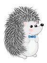 Cool little hedgehog in cartoon style wearing blue t-shirt with red spot on gray background