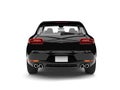 Cool modern family car - shiny black - back view