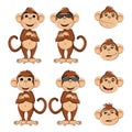 Cool monkey