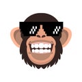 Cool monkey wearing glasses cartoon Royalty Free Stock Photo