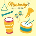 cool music ornaments vector design collection