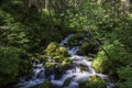 Cool National Forest Stream Ambles Down The Mountainside