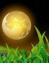 Cool Night View With Moonlight And Grass Field Cartoon
