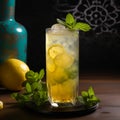 Refreshing and Spicy Shikanji with Lemon and Mint Royalty Free Stock Photo