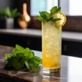 Refreshing and Spicy Shikanji with Lemon and Mint Royalty Free Stock Photo