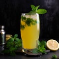 Refreshing Nimbu Pani with Fresh Mint