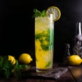 Refreshing Nimbu Pani with Fresh Mint