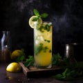 Refreshing Nimbu Pani with Fresh Mint