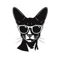 Cool Cat with Sunglasses Isolated, Hipster Animal Black Silhouette Icon, Fashionable Pet on White Background