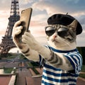 Cool Parisian Cat Taking A Selfie