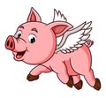 The cool pig is flying with the wings Royalty Free Stock Photo