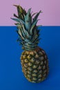 Cool pineaple and bright background Royalty Free Stock Photo