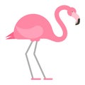 Cool pink decorative flamingo Royalty Free Stock Photo