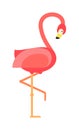 Cool pink decorative flat lovely and beauty flamingo exotic zoo animal vector illustration.