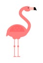 Cool pink decorative flat lovely and beauty flamingo exotic zoo animal vector illustration. Royalty Free Stock Photo