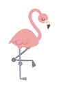 Cool pink flamingo vector illustration. Royalty Free Stock Photo