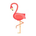 Cool pink flamingo vector illustration. Royalty Free Stock Photo