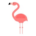 Cool pink flamingo vector illustration. Royalty Free Stock Photo