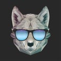 Cool print funny wolf in summer sunglasses. Vector dog illustration for t-shirts print. Hipster image. Geometric low Royalty Free Stock Photo