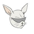 Cool rabbit draw