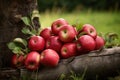 Cool red apples basket. Generate Ai Royalty Free Stock Photo