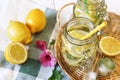 Cool refreshing drink: ice, lemon and mint Royalty Free Stock Photo