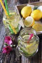 Cool refreshing drink: ice, lemon and mint