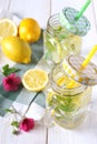 Cool refreshing drink: pure water, lemon and mint Royalty Free Stock Photo