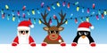 Cool reindeer santa and penguin cartoon with sunglasses and christmas fairy lights Royalty Free Stock Photo