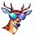 cool roebuck with sunglasses in watercolor-style