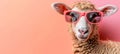 Cool sheep with trendy sunglasses on serene pastel background, perfect for text placement.