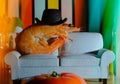 Cool Shrimp Top Hat Royalty Free Stock Photo
