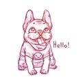 Cool sketch portrait of french bulldog wearing t-shirt with a smile emoji