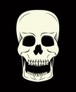 Cool skull print for tshirt