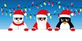 Cool snowman santa and penguin cartoon with sunglasses and christmas fairy lights Royalty Free Stock Photo