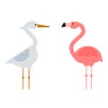 Cool stork and flamingo vector illustration. Royalty Free Stock Photo