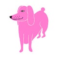 Cool strange Pink dachshund. comic dog character illustration