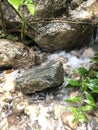 Water flowing over the stone
