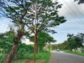 cool street view, Makassar, Indonesia, January 7 2024, Jalan PT Kima, industrial area, factories and warehouses