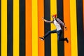 Cool stylish guy, with a briefcase, jumping high, rejoicing in the winner, against the background of the city colored wall Royalty Free Stock Photo