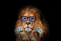 Cool successful leader lion boss with trendy eyes holds money dollars in his paws on a black background. Finance and management,