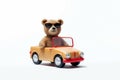 Cool teddy driving a car