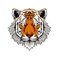 Cool Tiger Head Illustration