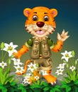 Cool Tiger On The Top of Rocks With White Ivy Flower Cartoon