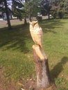 Cool tree stump sculptures found in neat small town central Alberta