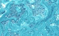 Cool trending screensaver. Turquoise watercolor ink in water with oil Royalty Free Stock Photo