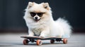 Cool white dog pomeranian spitz in sunglasses riding a skateboard down the street funny pets generative AI